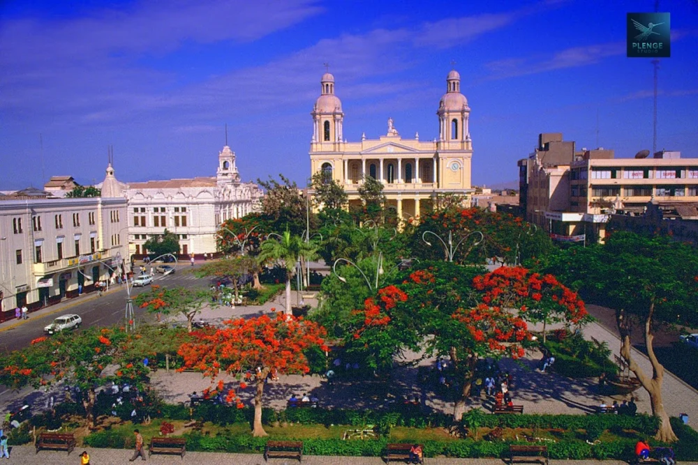 Colegio De Notarios De Lambayeque