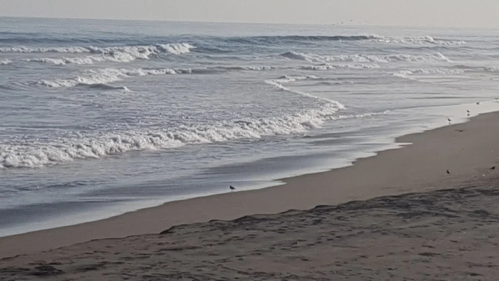 Playa Punta Bombon